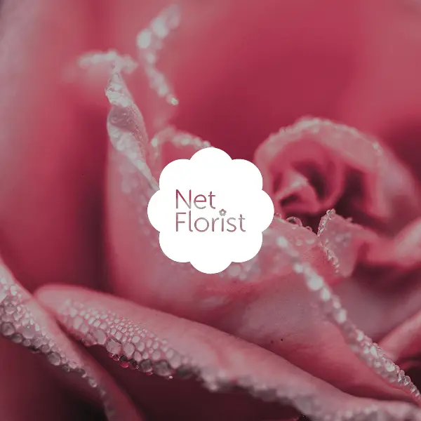 Netflorist